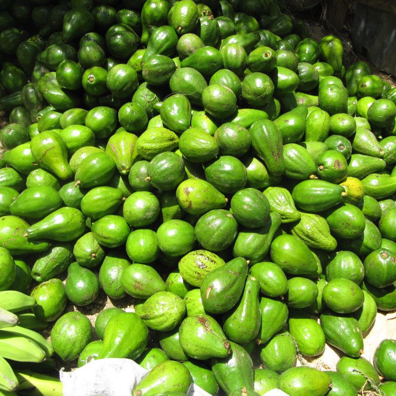 Avocat dans un marché du departement du Centre MG_2053